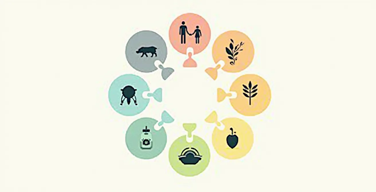 Tableau visuel symbolique représentant les saisons avec les organes clés de la naturopathie et les éléments de la diététique chinoise